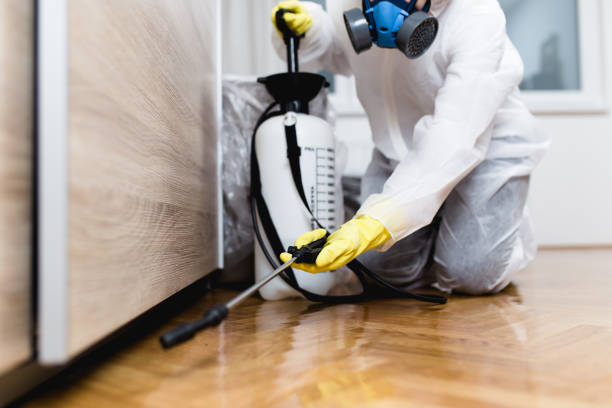 Best Wasp Removal Services  in Manistee, MI