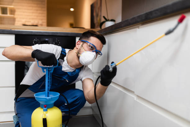 Best Best Pest Control Companies  in Manistee, MI