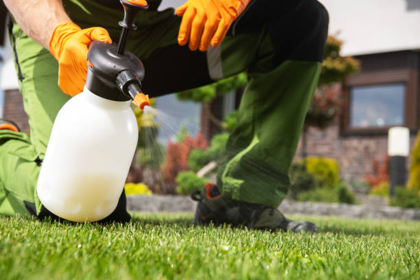 Best Pest Control for Homes  in Manistee, MI