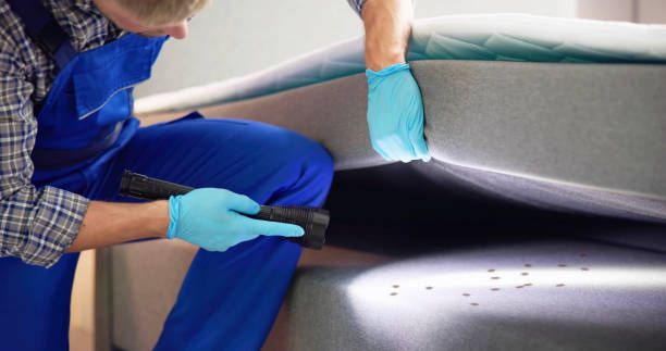 Best Pest Inspection Near Me  in Manistee, MI