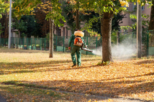 Best Affordable Pest Control Services  in Manistee, MI