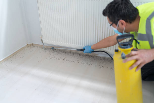 Best Flea Control Services  in Manistee, MI